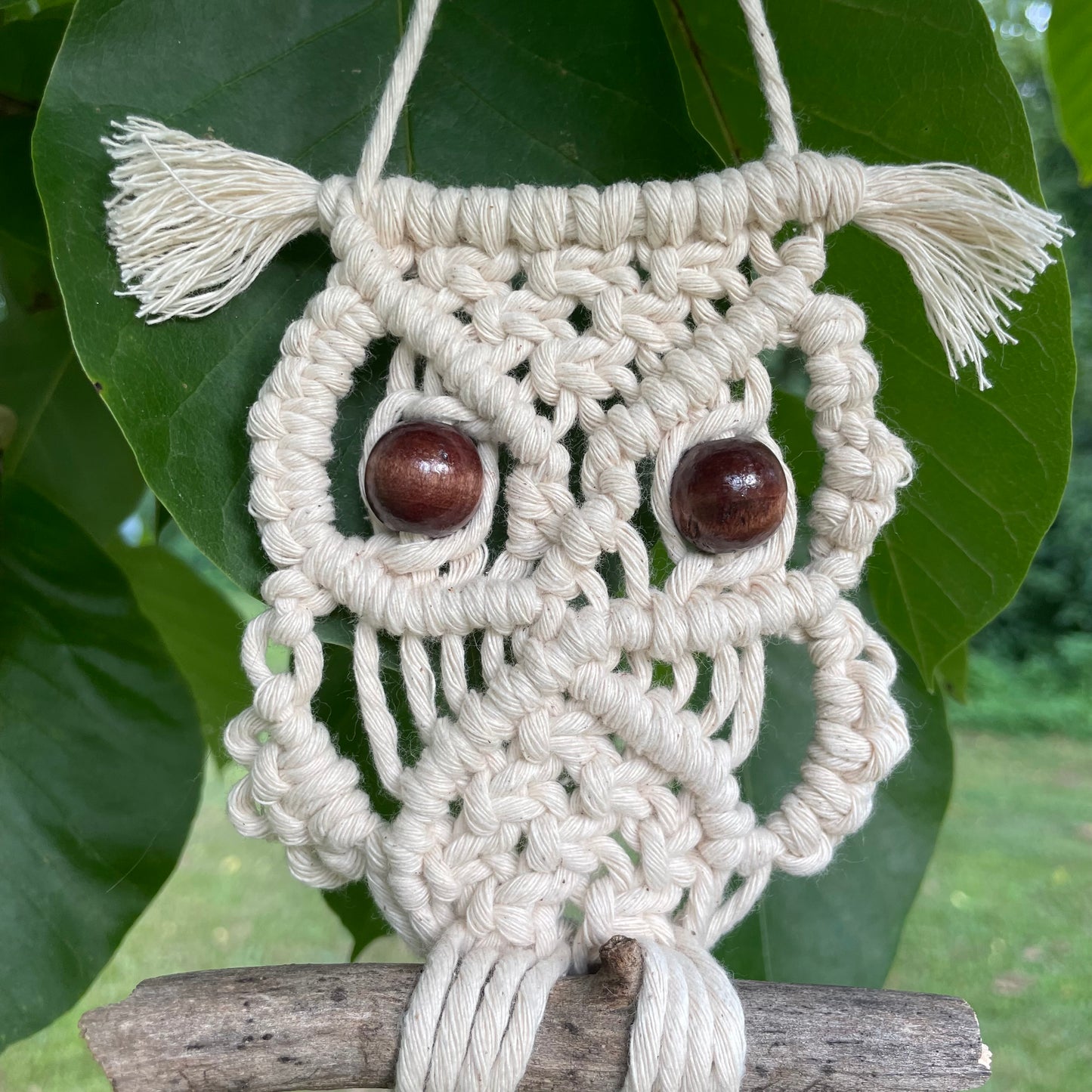 Macrame Owl Wall Hanger Small