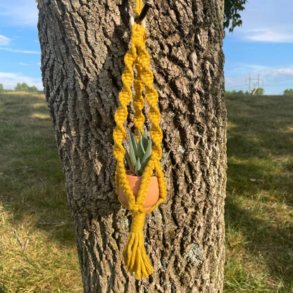 Macrame Mini Plant Hanger with Faux Succulent