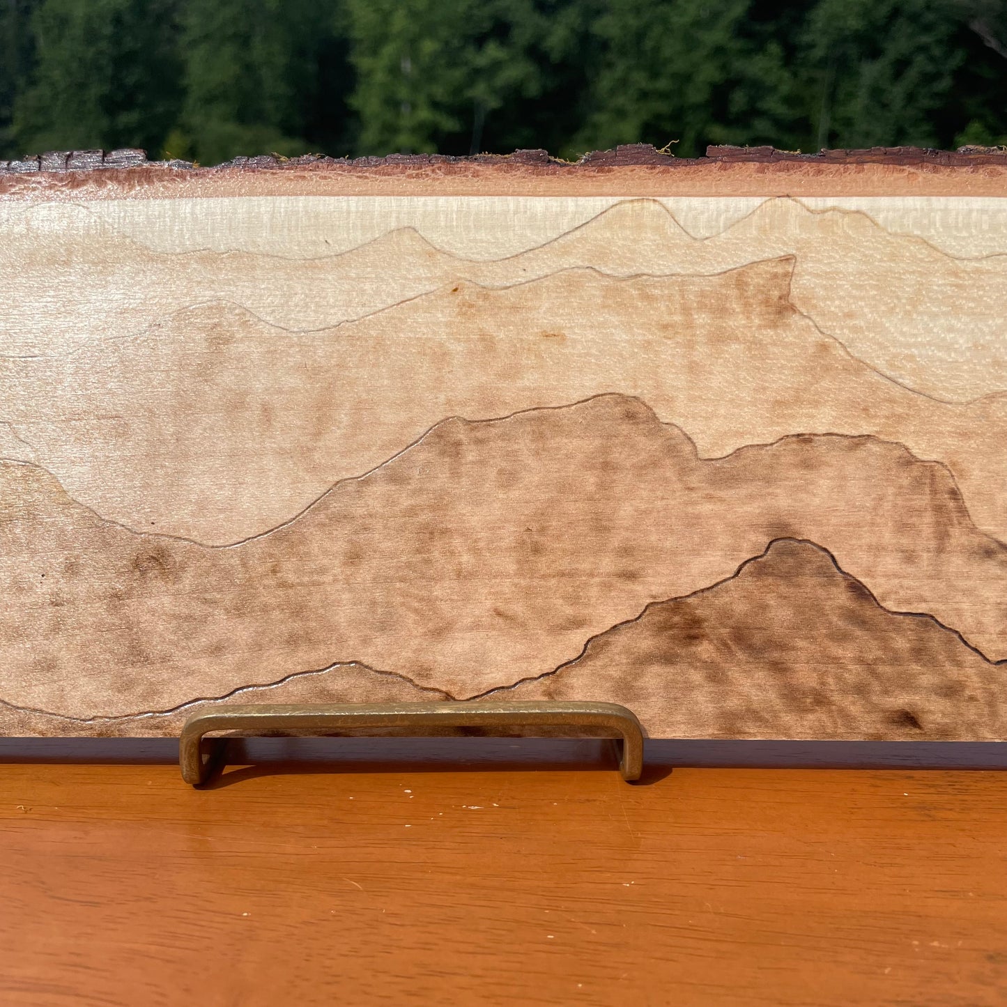 Wood Burned Blue Ridge Mountains