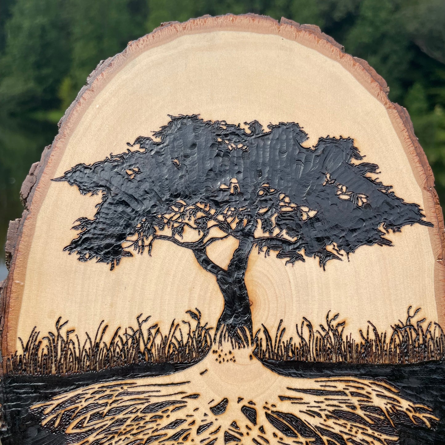 Wood Burned Tree of Life