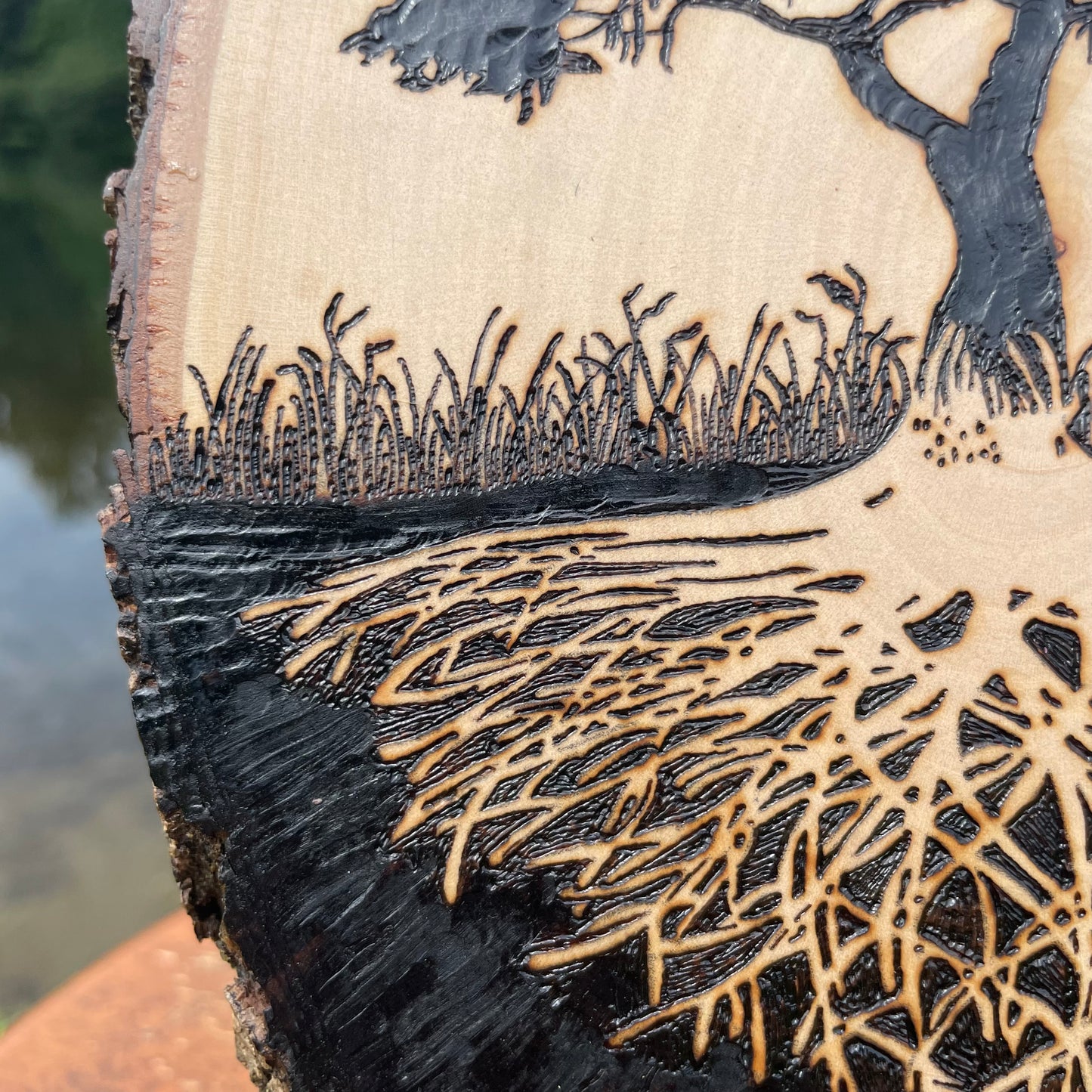 Wood Burned Tree of Life