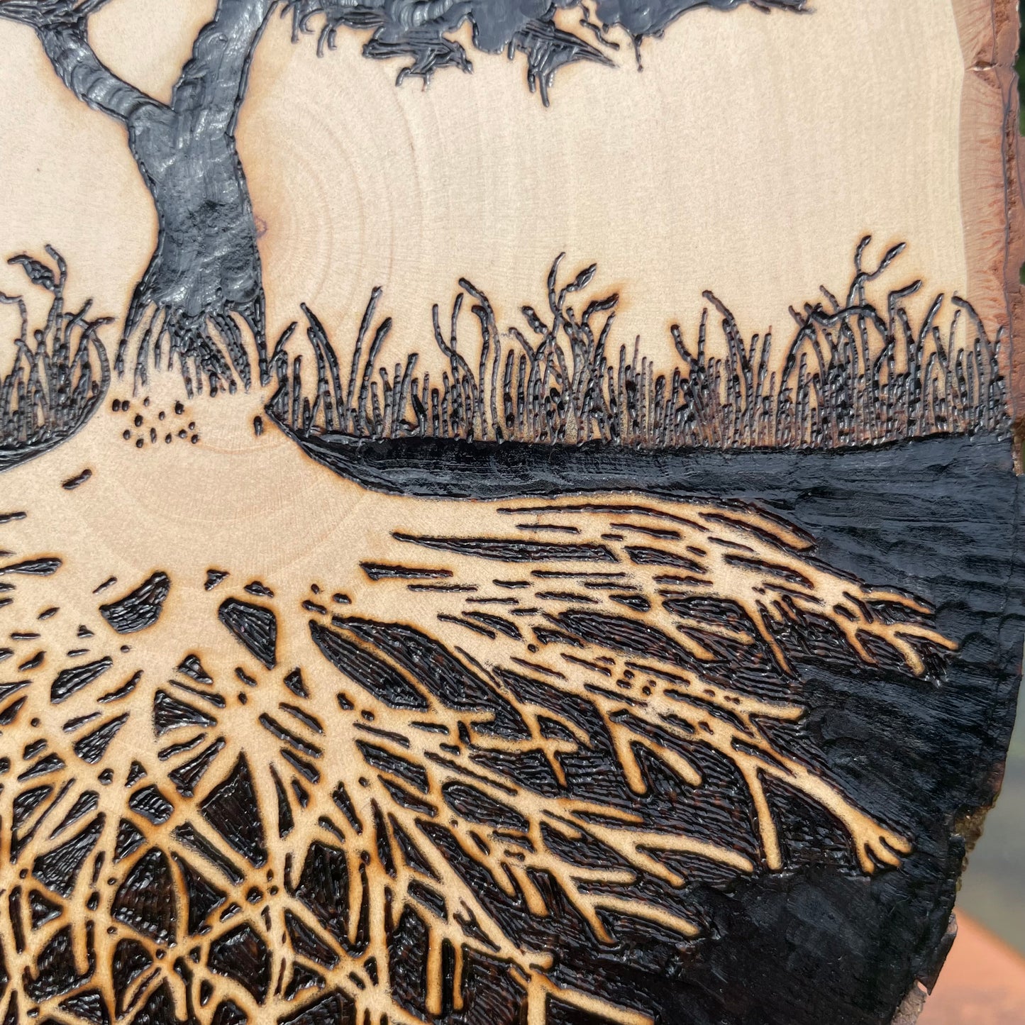 Wood Burned Tree of Life