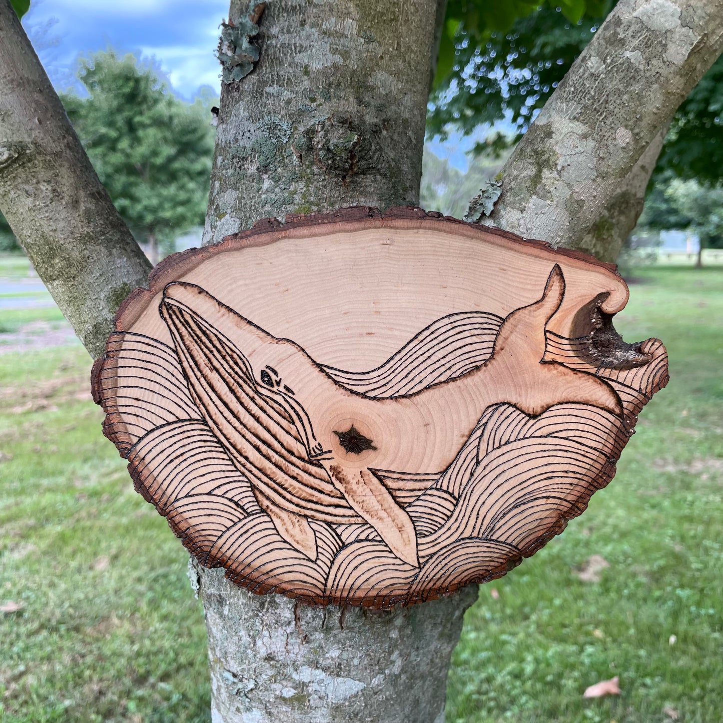 Wood Burned Whale