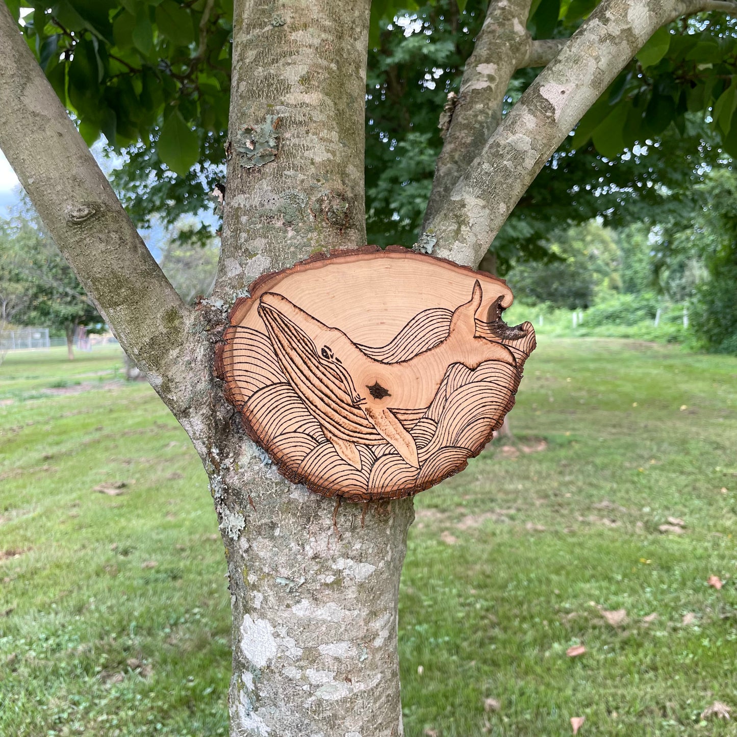 Wood Burned Whale