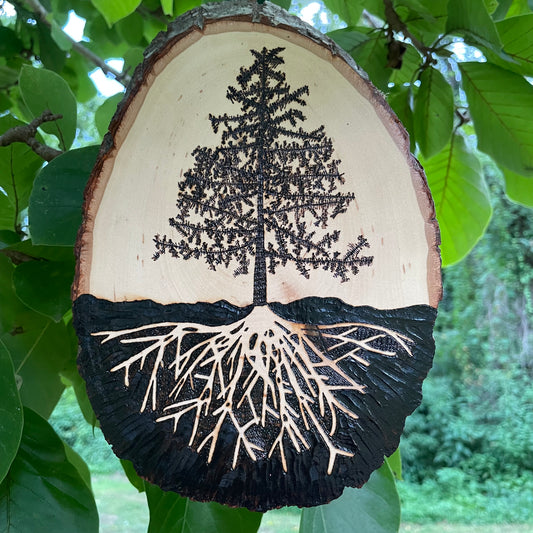 Wood Burned Pine Tree Roots