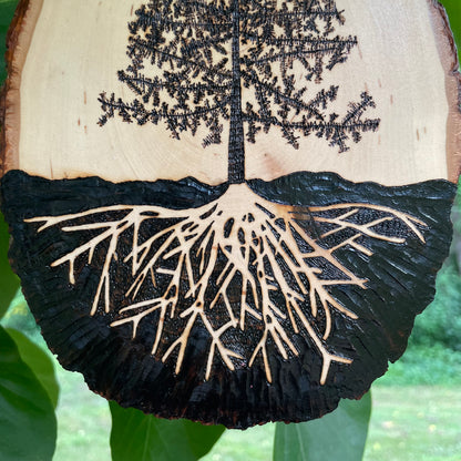 Wood Burned Pine Tree Roots