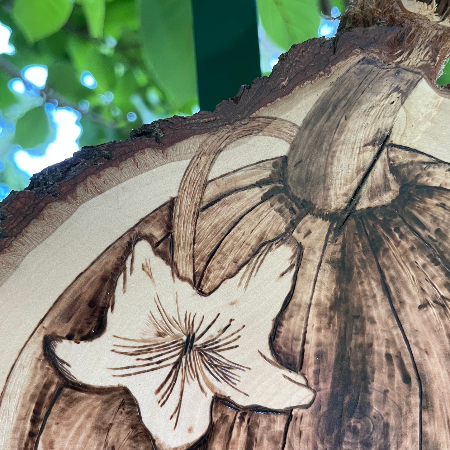 Wood Burned Pumpkin