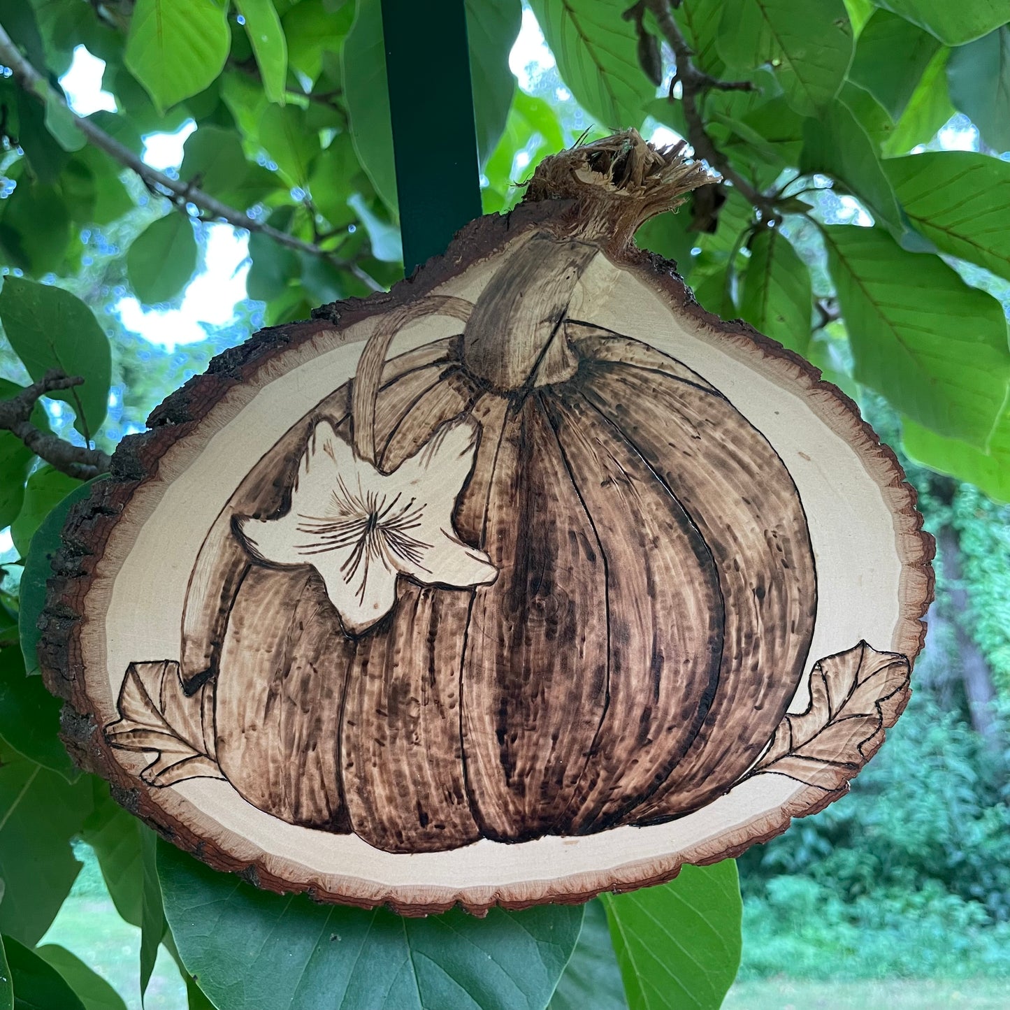 Wood Burned Pumpkin