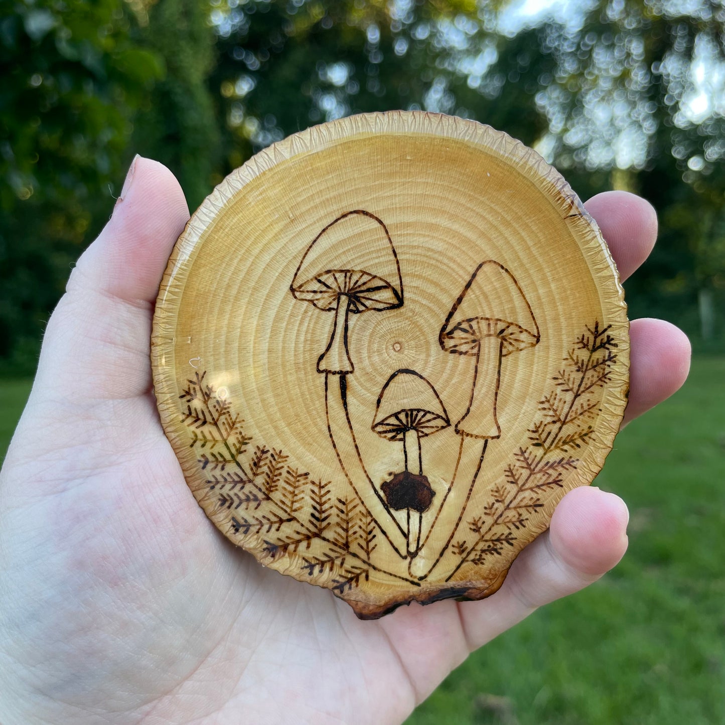 Wood Burned Mushrooms & Ferns Coaster