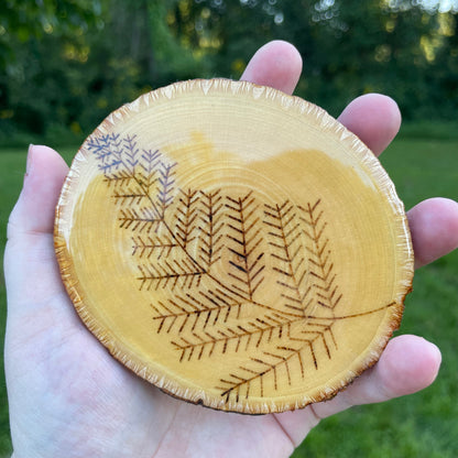 Wood Burned Fern Coaster