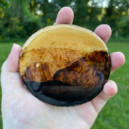 Wood Burned Blue Ridge Mountains Coaster