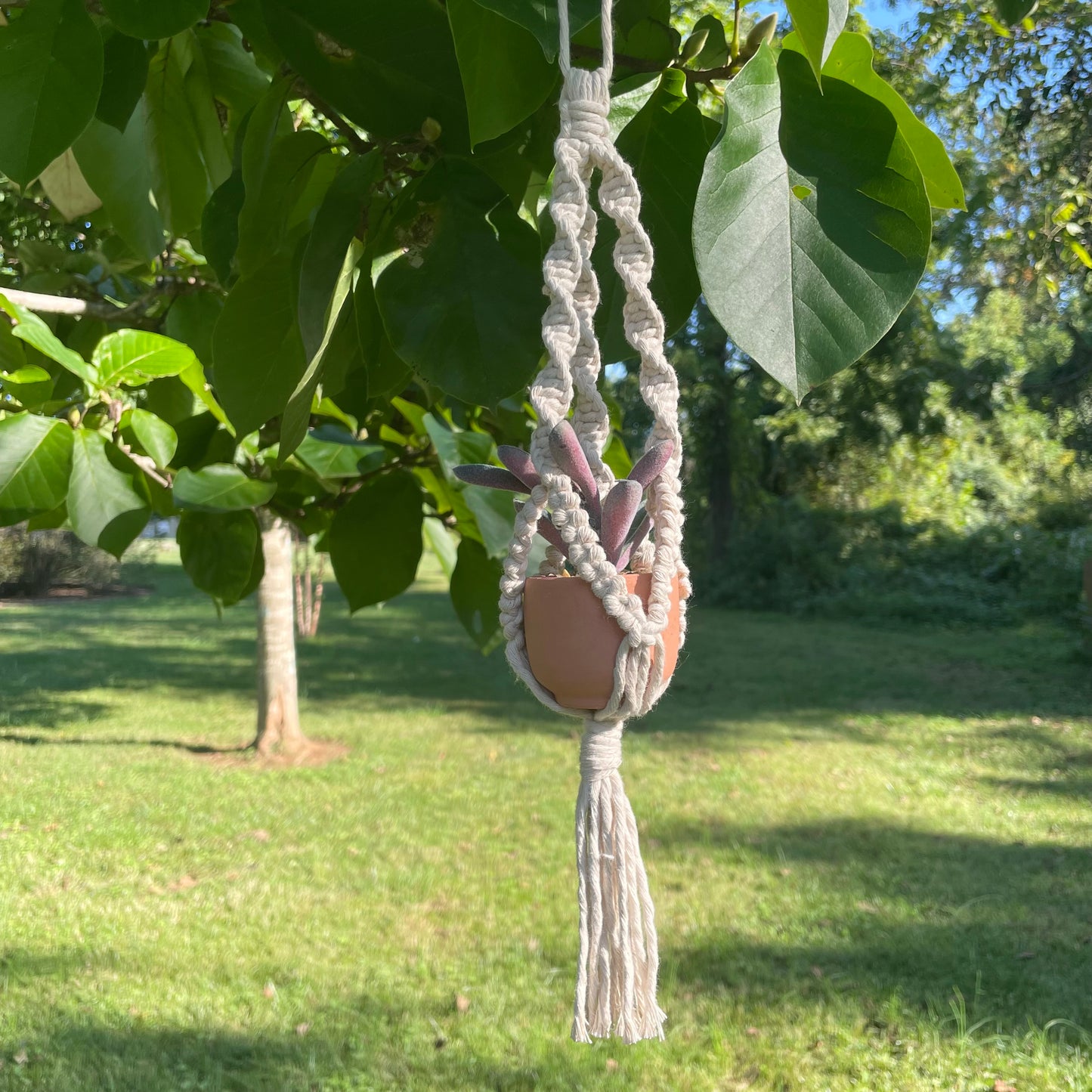 Macrame Mini Plant Hanger with Faux Succulent