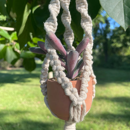 Macrame Mini Plant Hanger with Faux Succulent