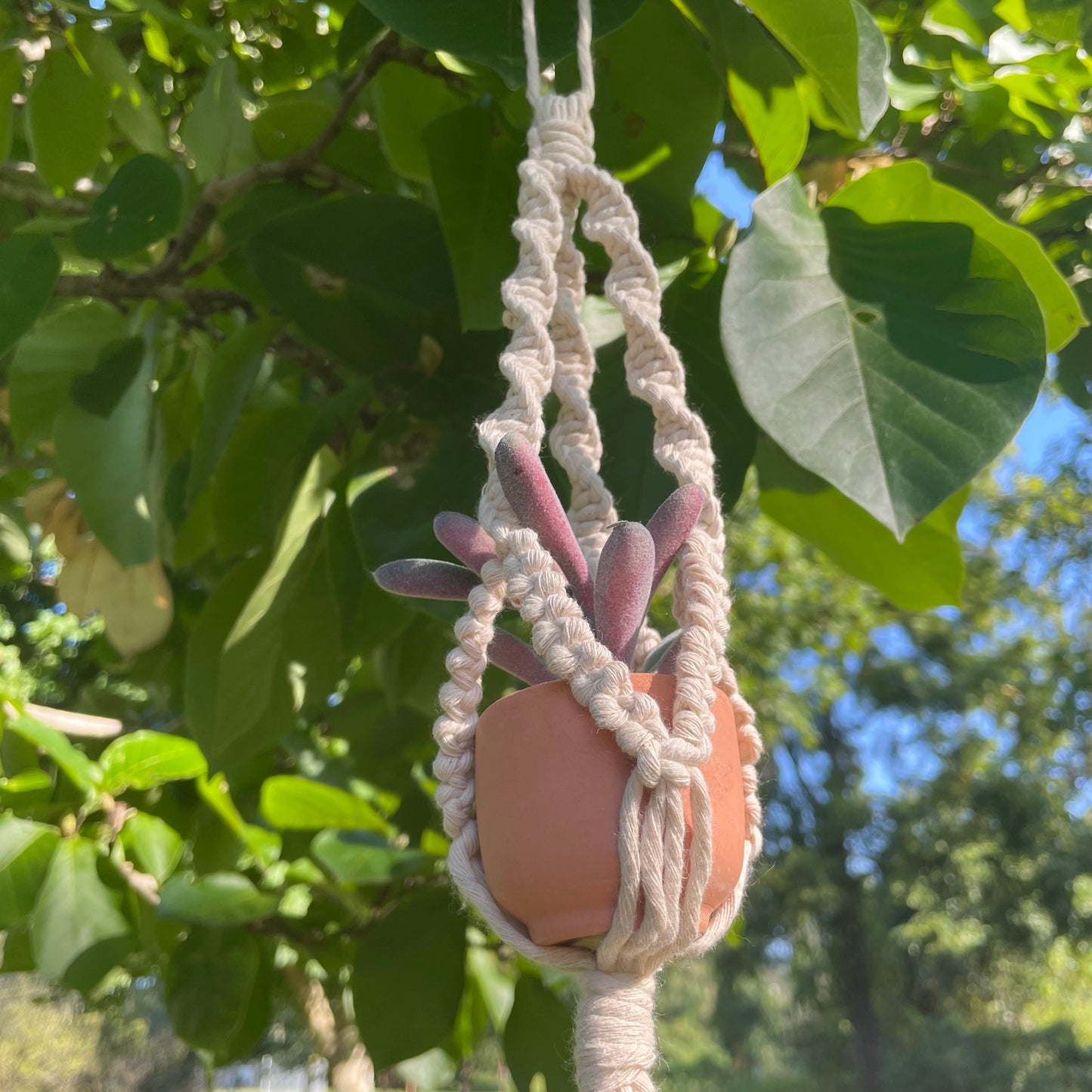 Macrame Mini Plant Hanger with Faux Succulent