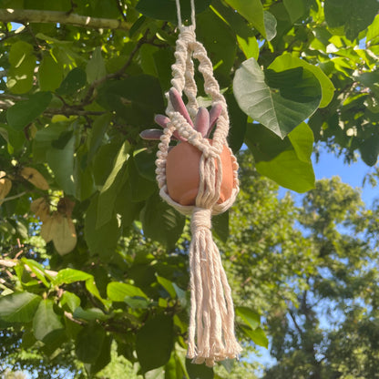 Macrame Mini Plant Hanger with Faux Succulent