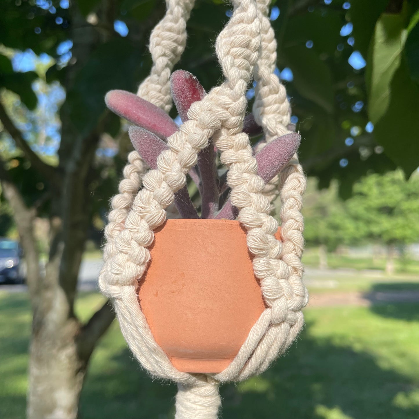 Macrame Mini Plant Hanger with Faux Succulent