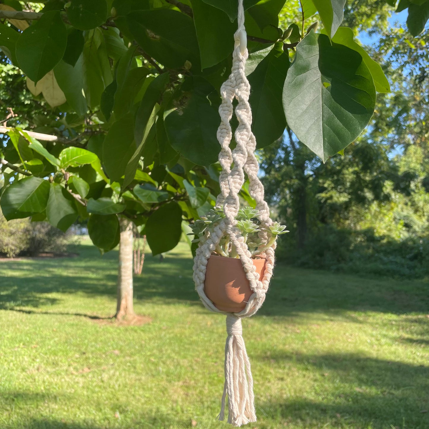 Macrame Mini Plant Hanger with Faux Succulent