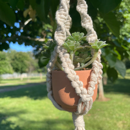 Macrame Mini Plant Hanger with Faux Succulent