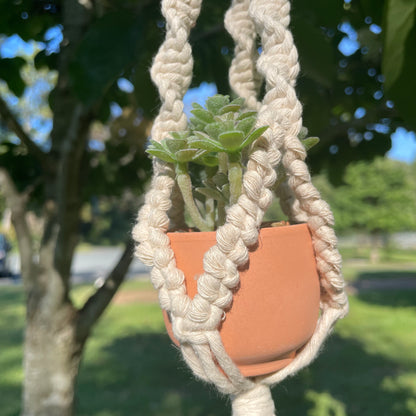 Macrame Mini Plant Hanger with Faux Succulent