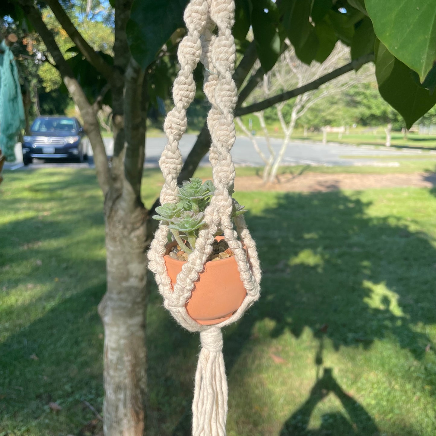 Macrame Mini Plant Hanger with Faux Succulent