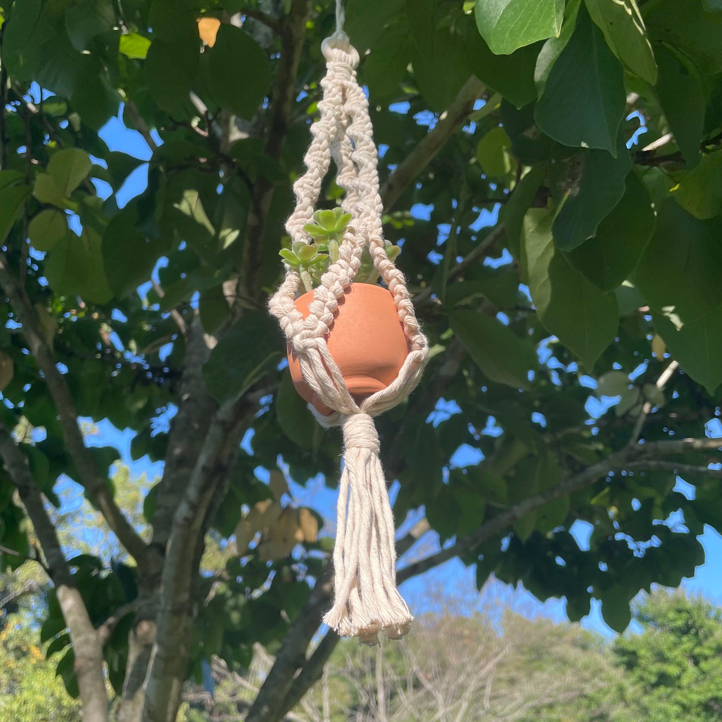 Macrame Mini Plant Hanger with Faux Succulent