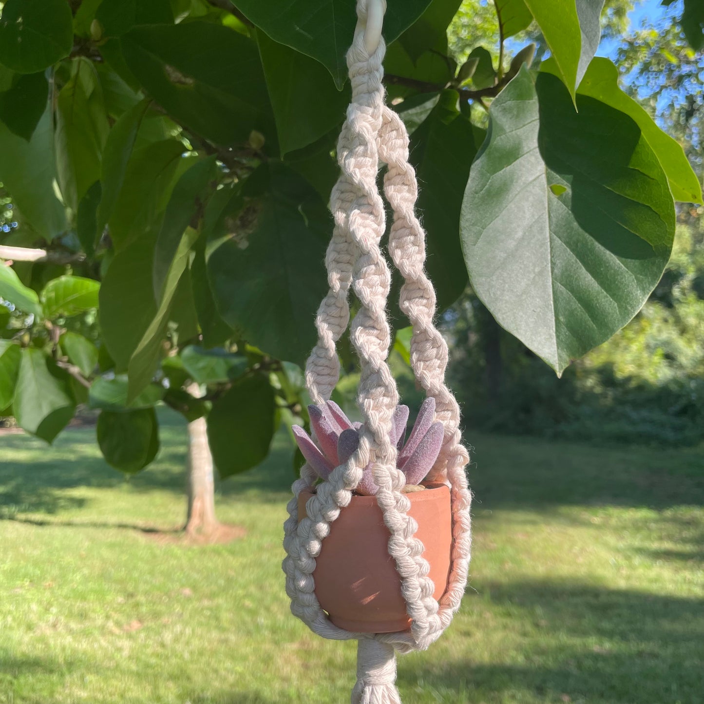 Macrame Mini Plant Hanger with Faux Succulent