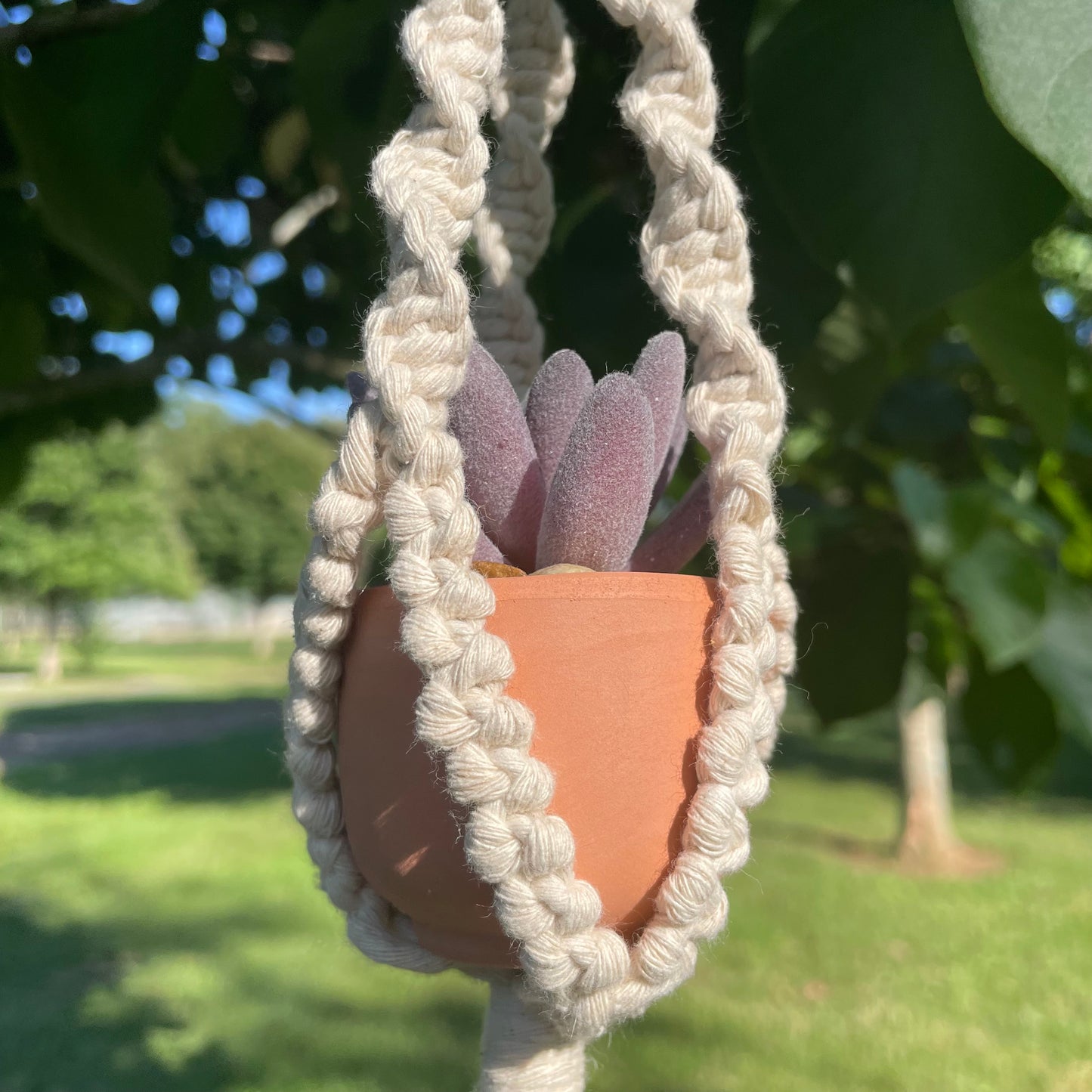 Macrame Mini Plant Hanger with Faux Succulent