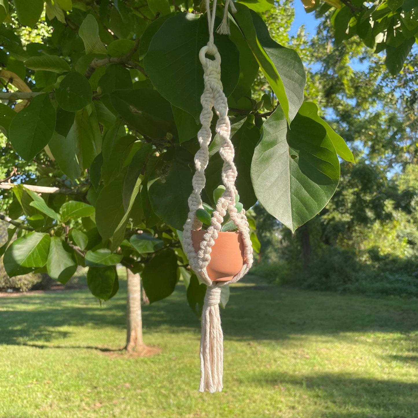 Macrame Mini Plant Hanger with Faux Succulent