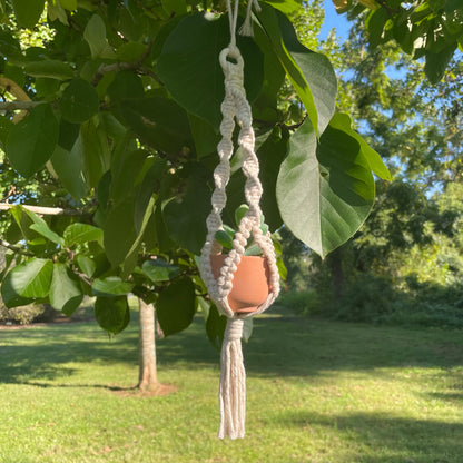 Macrame Mini Plant Hanger with Faux Succulent