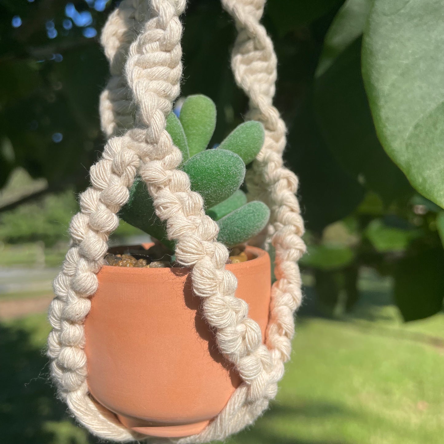 Macrame Mini Plant Hanger with Faux Succulent