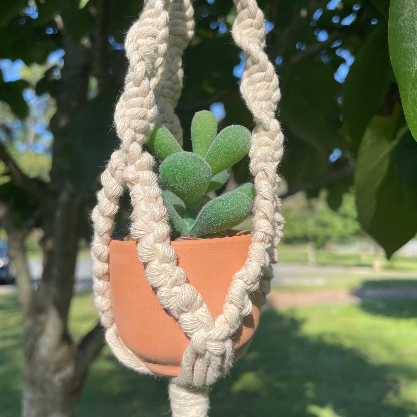 Macrame Mini Plant Hanger with Faux Succulent