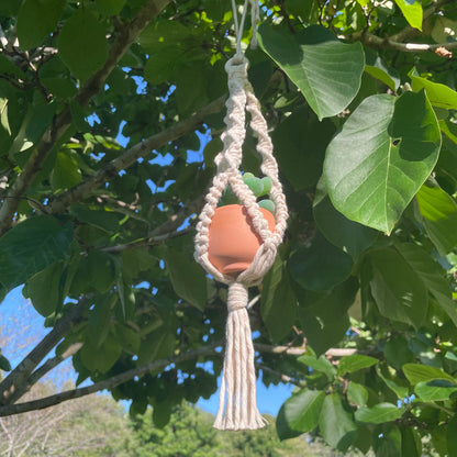 Macrame Mini Plant Hanger with Faux Succulent