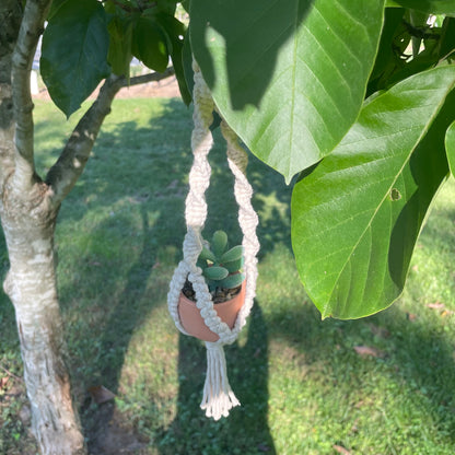 Macrame Mini Plant Hanger with Faux Succulent