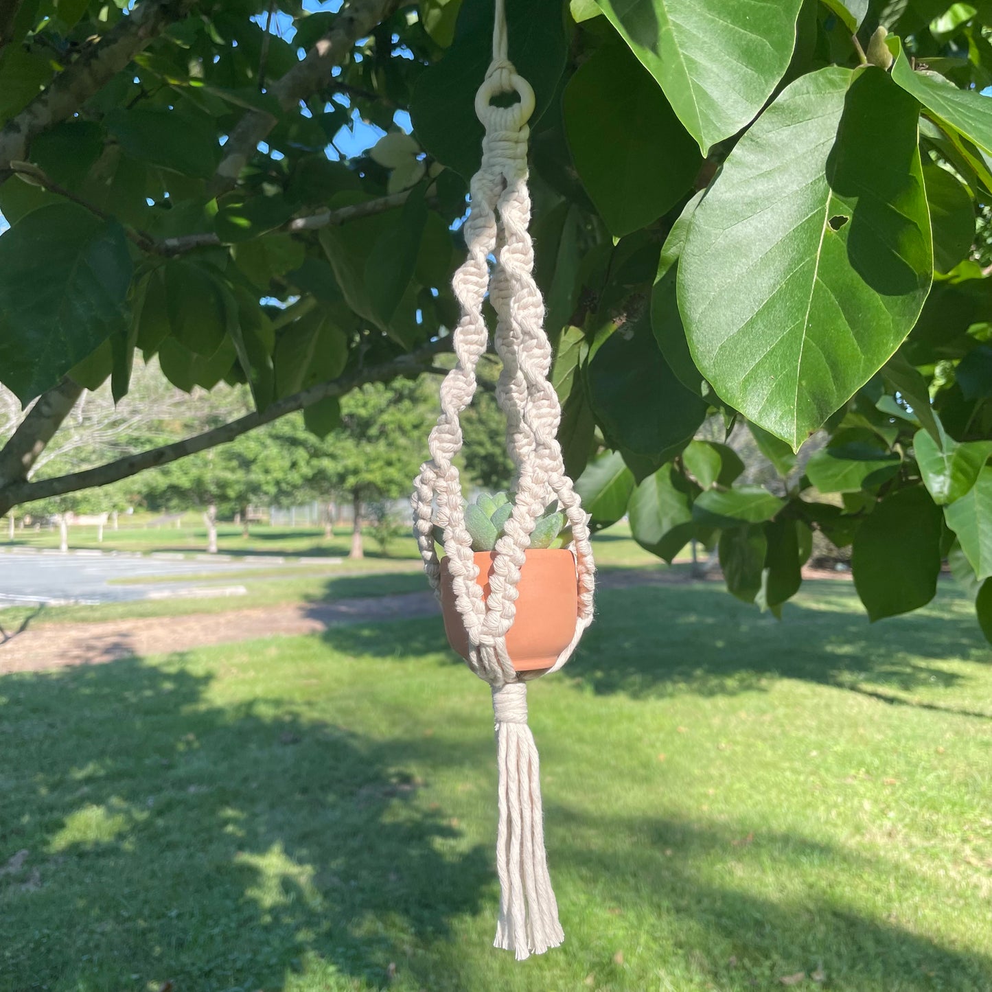 Macrame Mini Plant Hanger with Faux Succulent