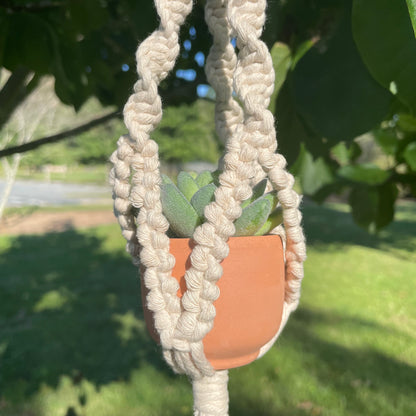 Macrame Mini Plant Hanger with Faux Succulent