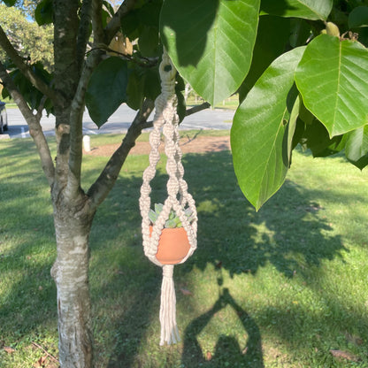 Macrame Mini Plant Hanger with Faux Succulent