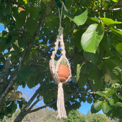 Macrame Mini Plant Hanger with Faux Succulent