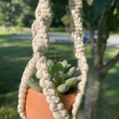 Macrame Mini Plant Hanger with Faux Succulent