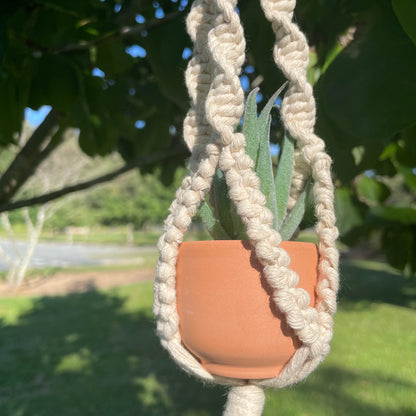 Macrame Mini Plant Hanger with Faux Succulent