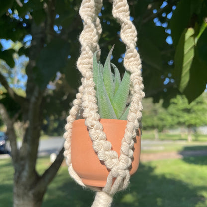 Macrame Mini Plant Hanger with Faux Succulent