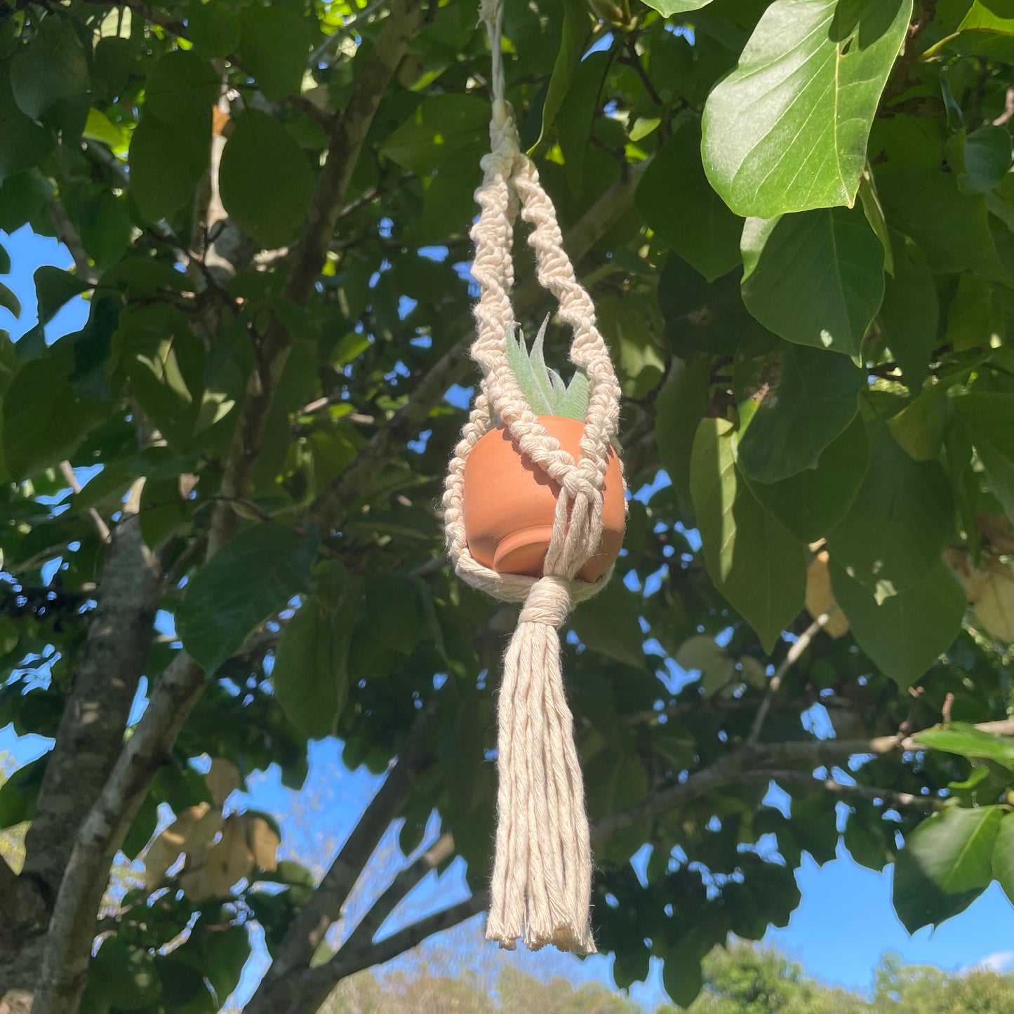 Macrame Mini Plant Hanger with Faux Succulent