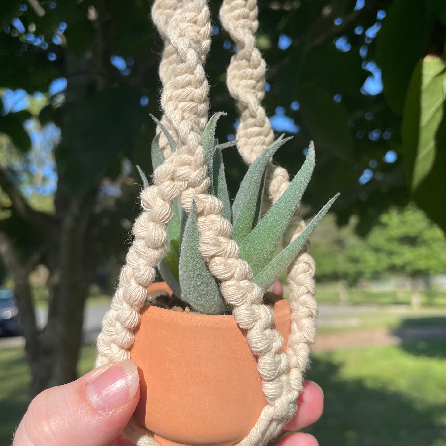 Macrame Mini Plant Hanger with Faux Succulent