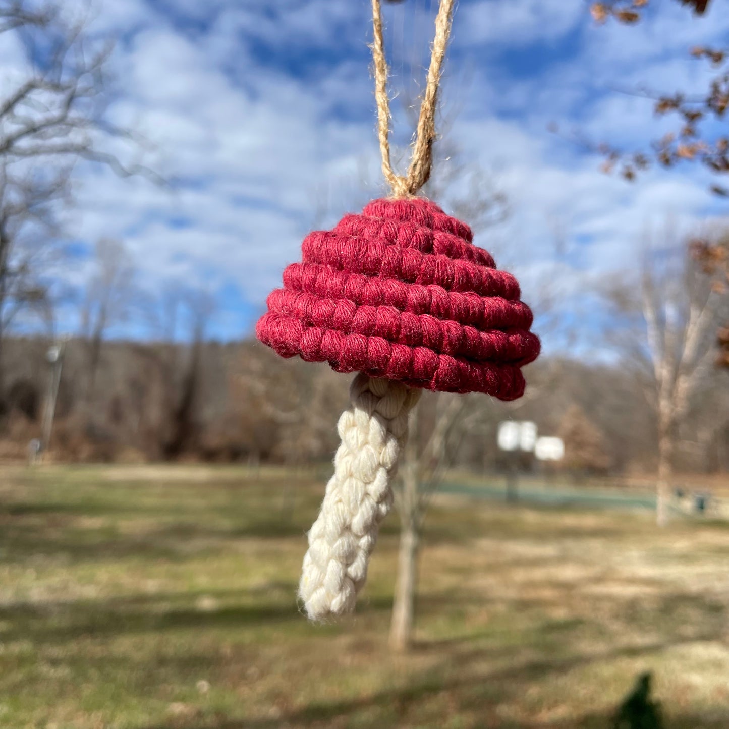 Macrame Mushroom Wall Hanging/Car Hanger/Christmas Ornament