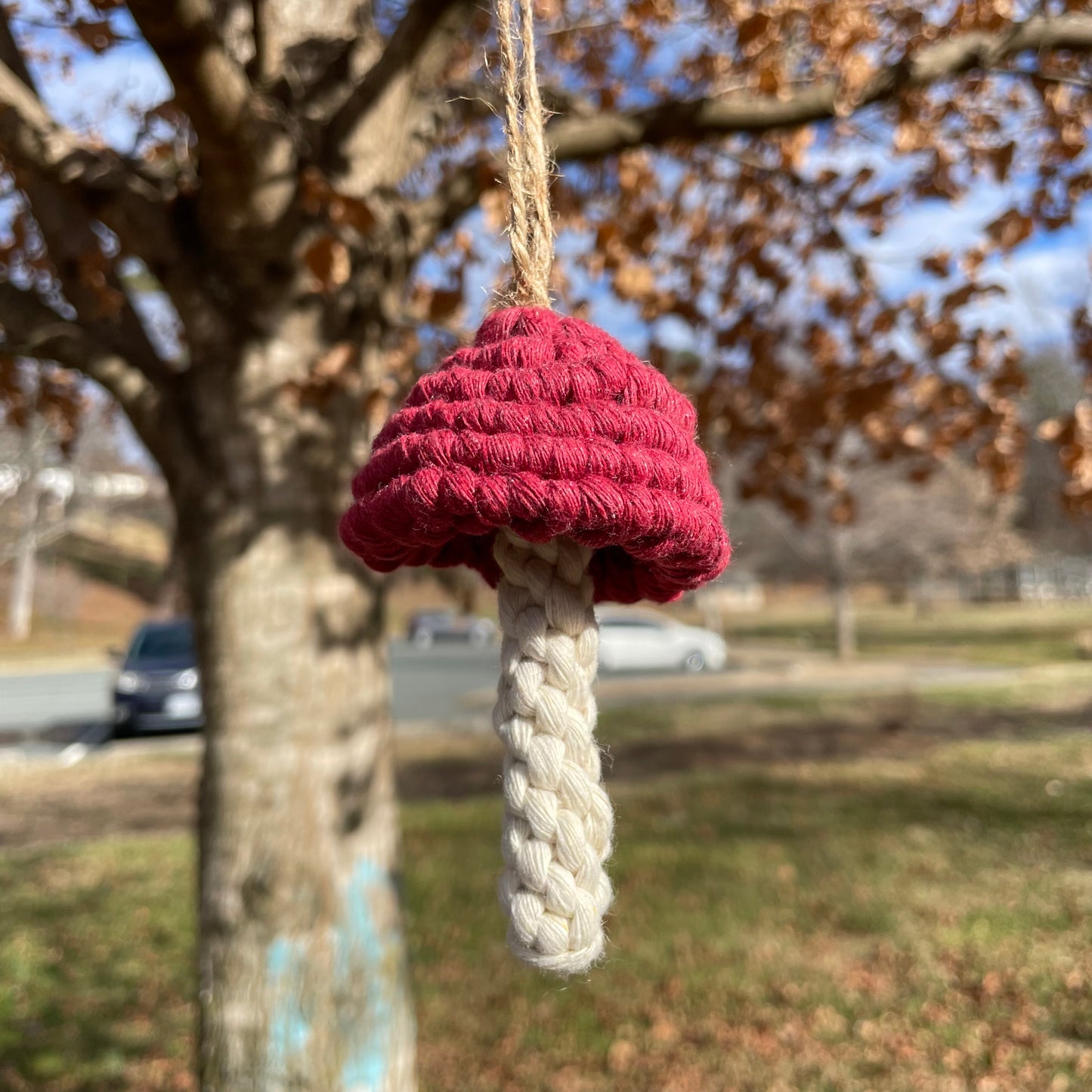 Macrame Mushroom Wall Hanging/Car Hanger/Christmas Ornament