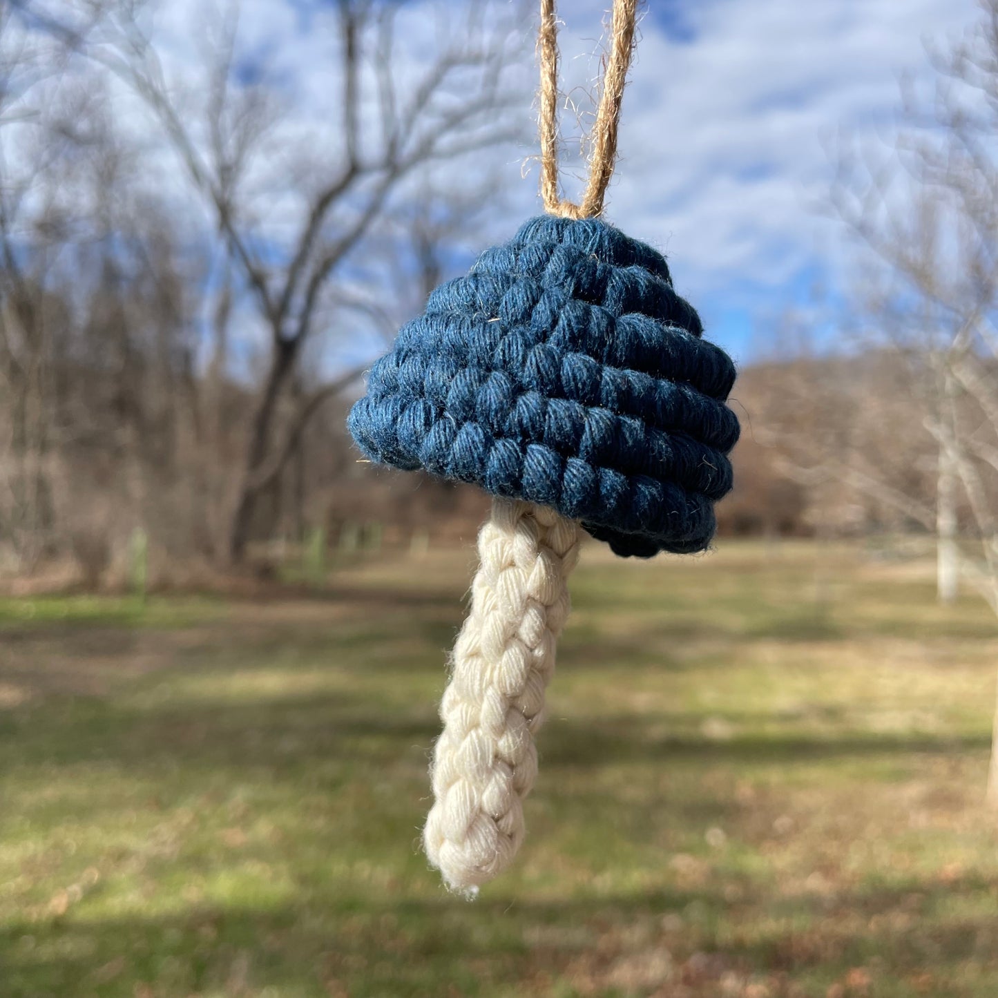 Macrame Mushroom Wall Hanging/Car Hanger/Christmas Ornament