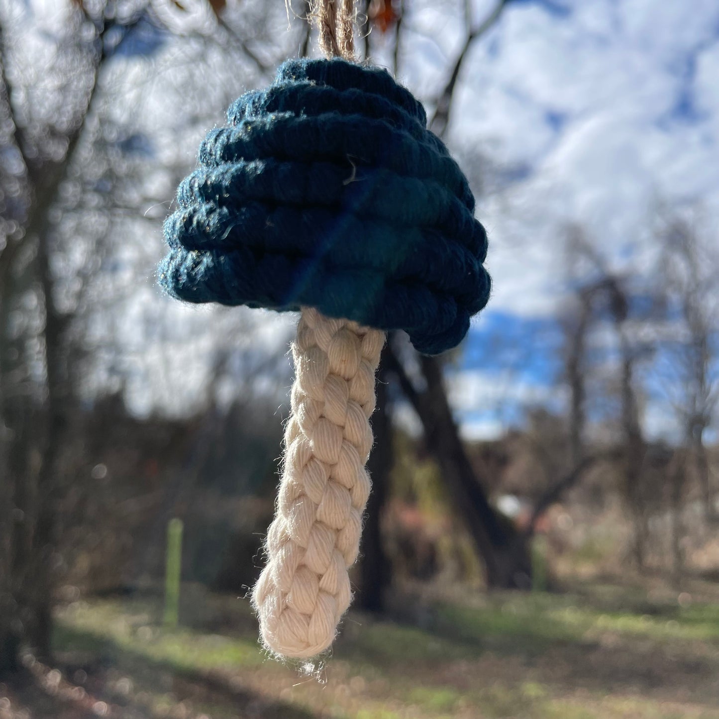 Macrame Mushroom Wall Hanging/Car Hanger/Christmas Ornament