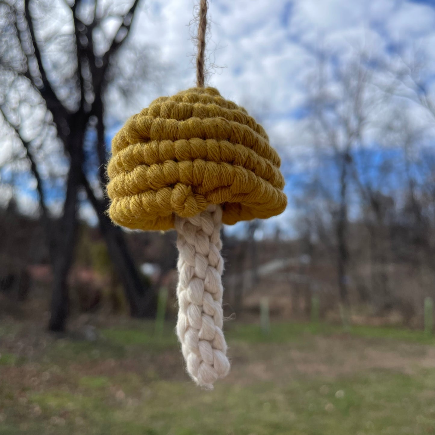 Macrame Mushroom Wall Hanging/Car Hanger/Christmas Ornament