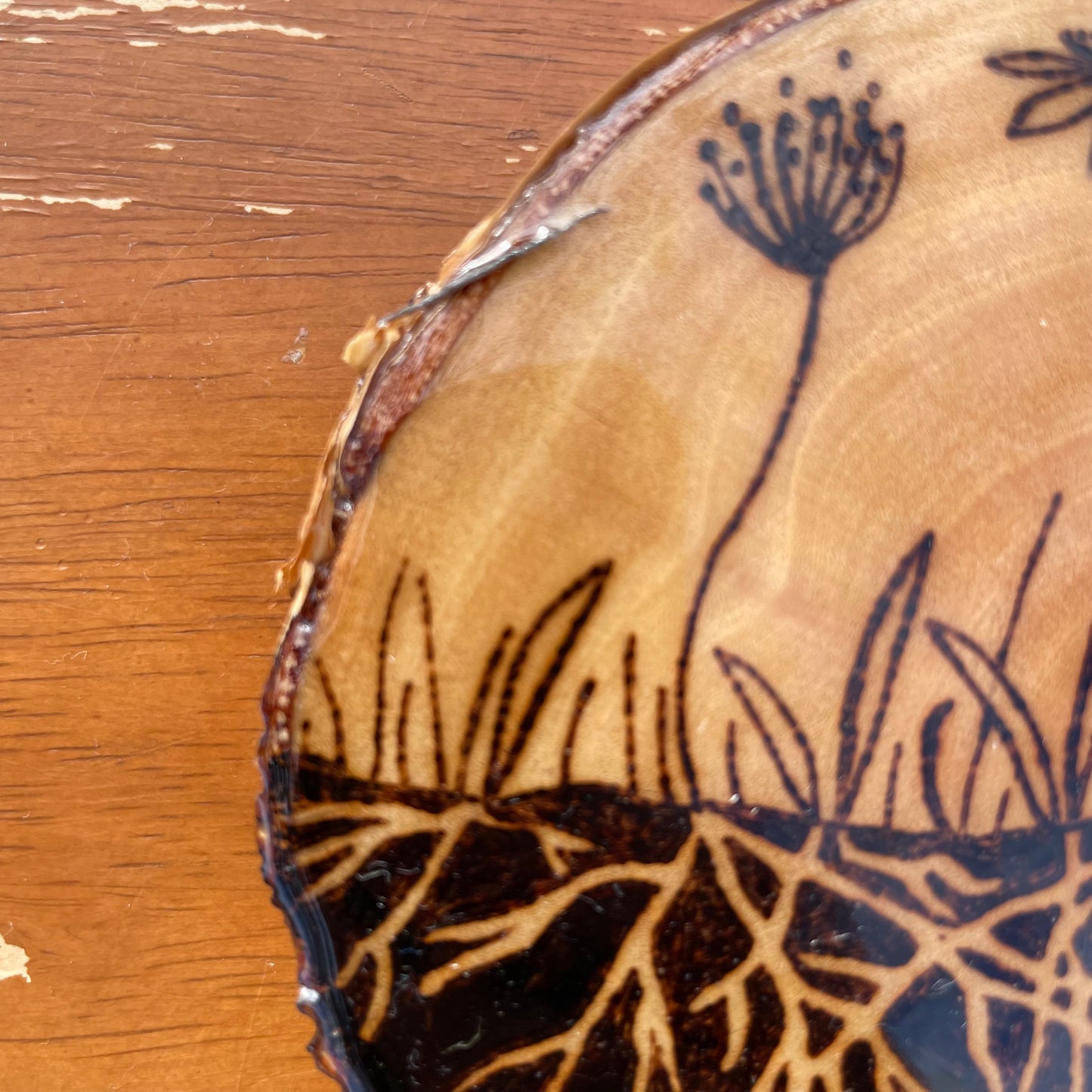 Wood Burned Wildflower Roots Coaster