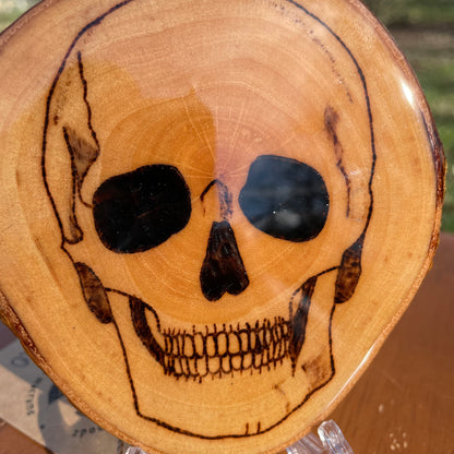 Wood Burned Skull Coaster