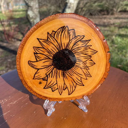 Wood Burned Sunflower Coaster